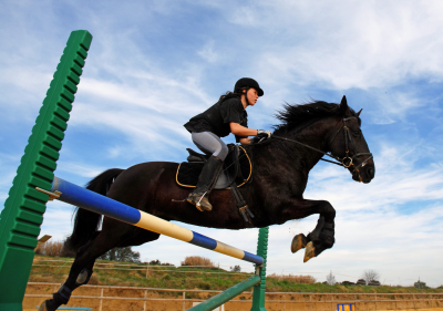 La réalité virtuelle au service de la formation dans le domaine de la sécurité autour du cheval