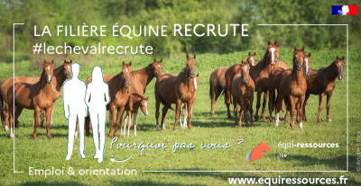 La filière équine lance la campagne #lechevalrecrute