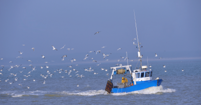 Une nouvelle formation autour des métiers de la mer