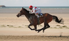 La Normandie, une terre de cheval