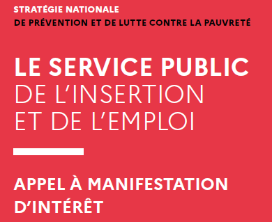 Appel à manifestation d’intérêt du Service public de l’insertion et de l’emploi