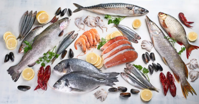 Une école des produits de la mer ouvrira en 2025 à Cherbourg