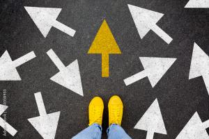 Orientation et construction de projet professionnel