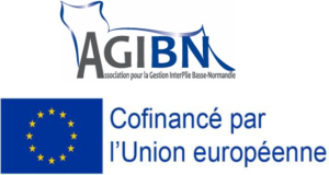 Appels &agrave; projets AGIBN 2026-2027